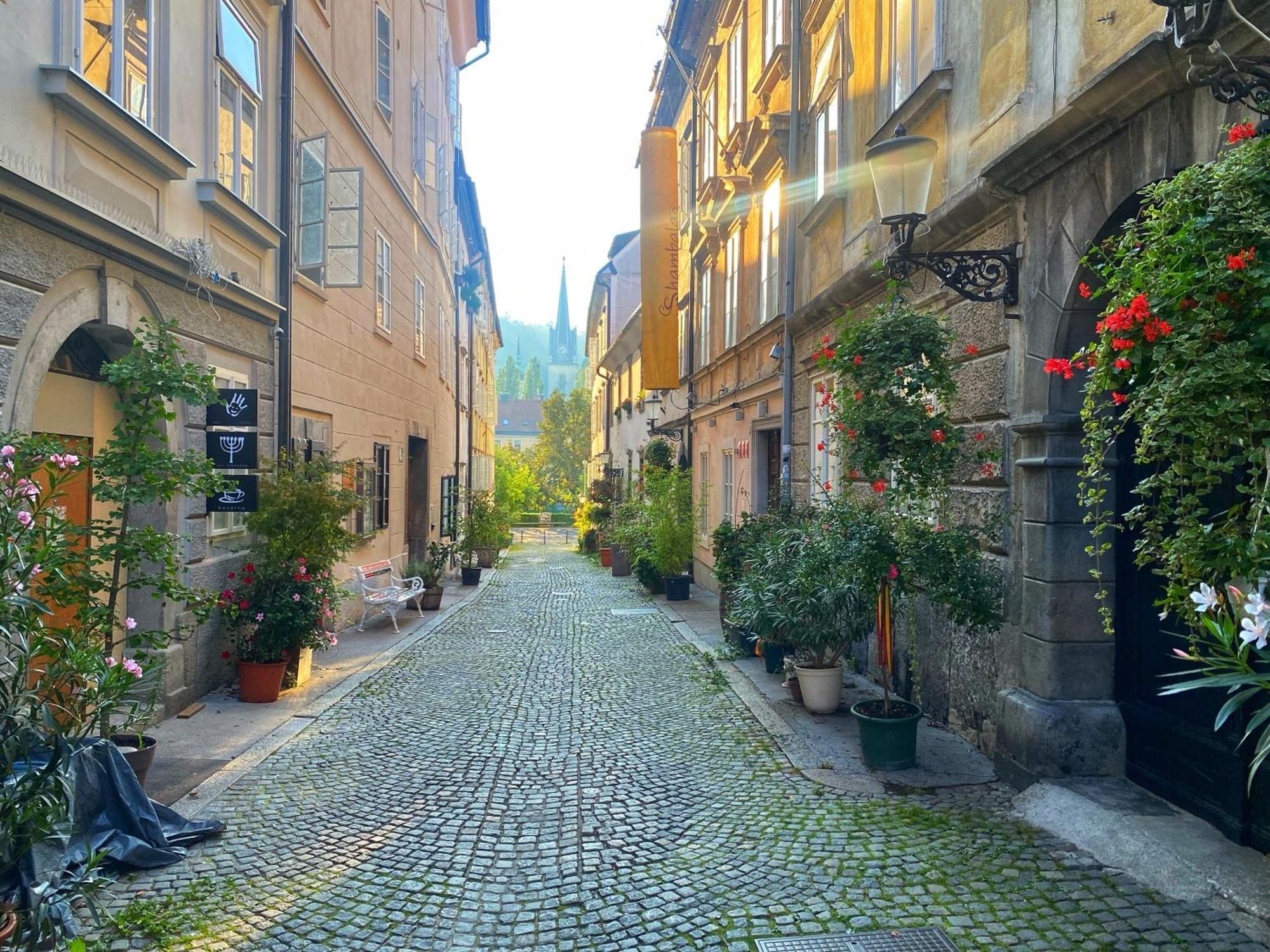 1Br Apartment On The Most Beautiful Street In Ljubljana Center Extérieur photo